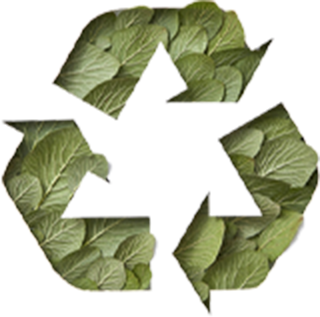 Recycle icon