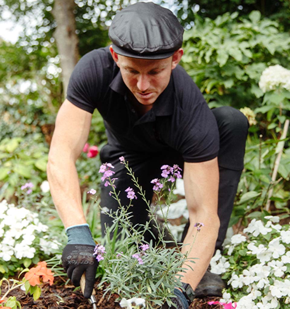 One of the Willow team planting plants